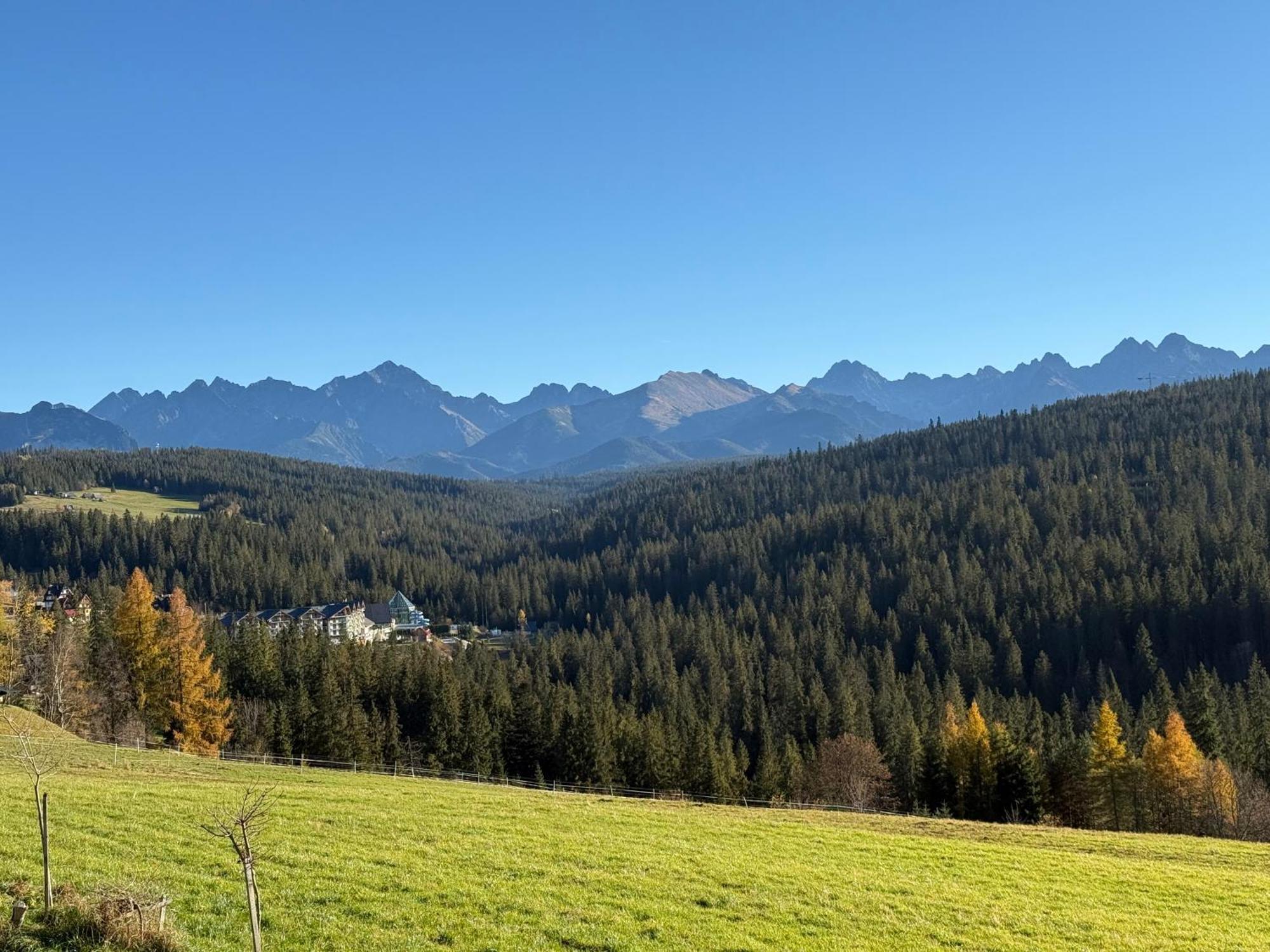 Bukowina Tatrzanska -Czarna Gora- Black Apart- Widok Na Tatry, Jacuzzi, Bilard, Game Room Экстерьер фото
