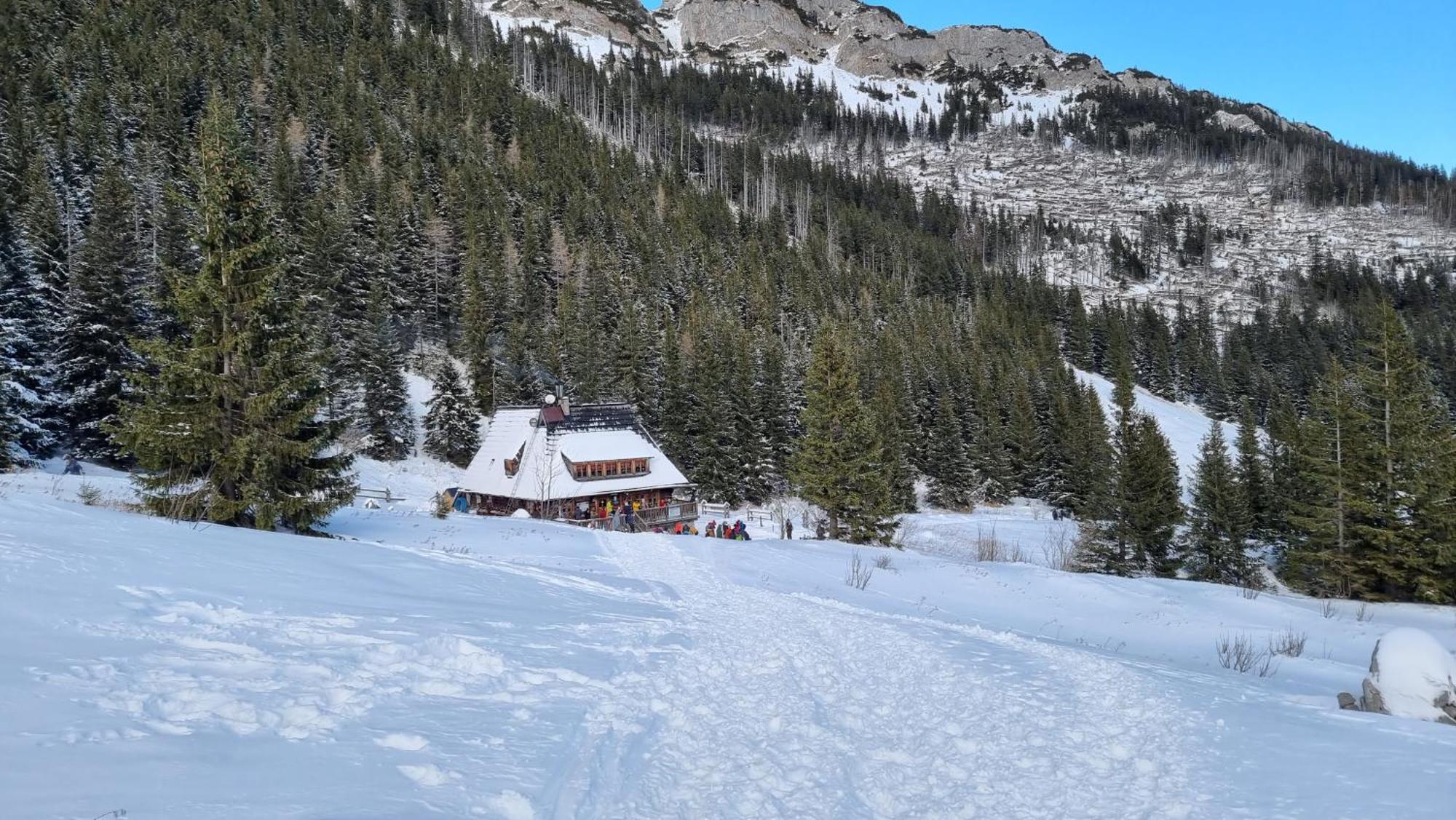 Bukowina Tatrzanska -Czarna Gora- Black Apart- Widok Na Tatry, Jacuzzi, Bilard, Game Room Экстерьер фото