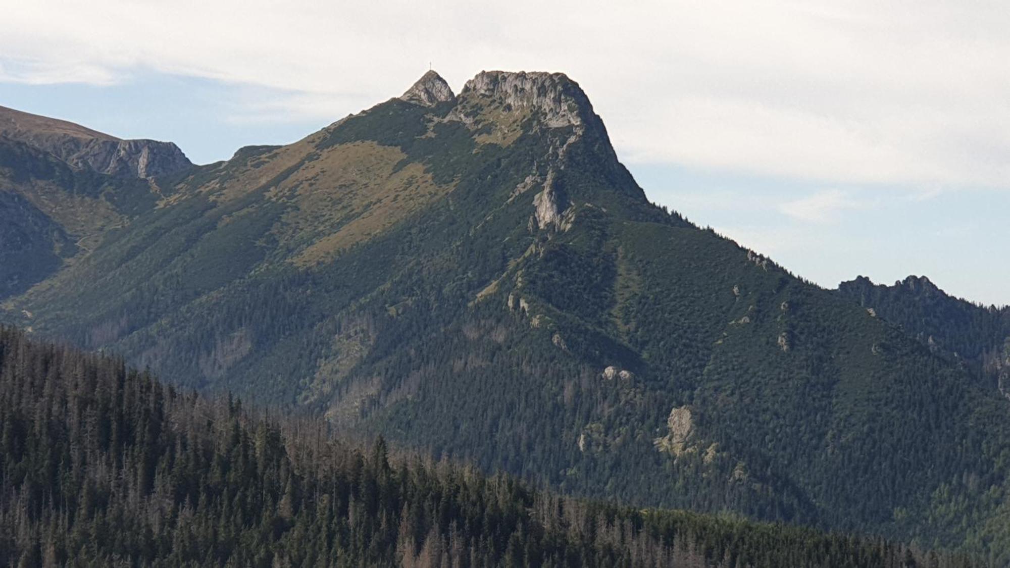 Bukowina Tatrzanska -Czarna Gora- Black Apart- Widok Na Tatry, Jacuzzi, Bilard, Game Room Экстерьер фото